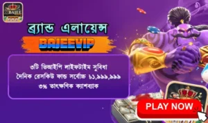 XBajee Brand Alliance | Redefining Collaboration, Innovation, and Global Market Impact