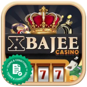 XBajee Terms & Conditions - 18 Rules for Safe Platform Use